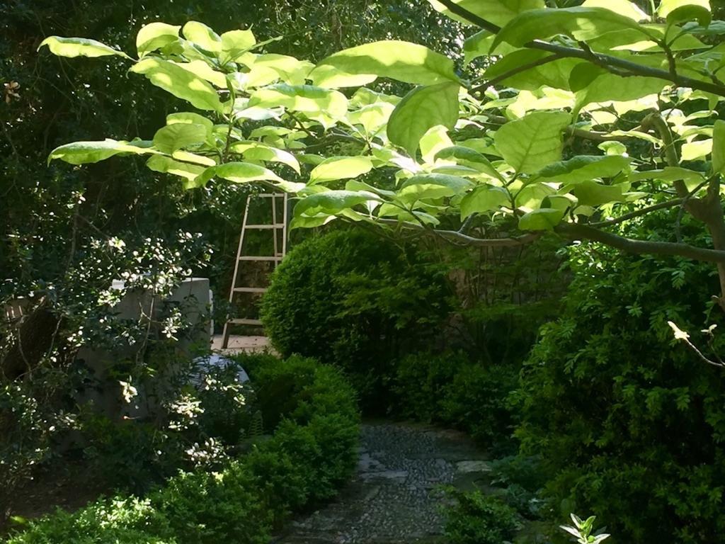 Les Jardins De Baracane Avignone Esterno foto