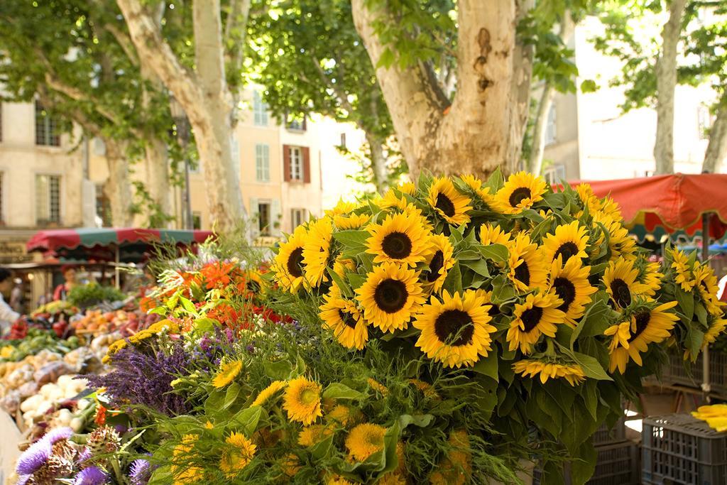 Les Jardins De Baracane Avignone Esterno foto
